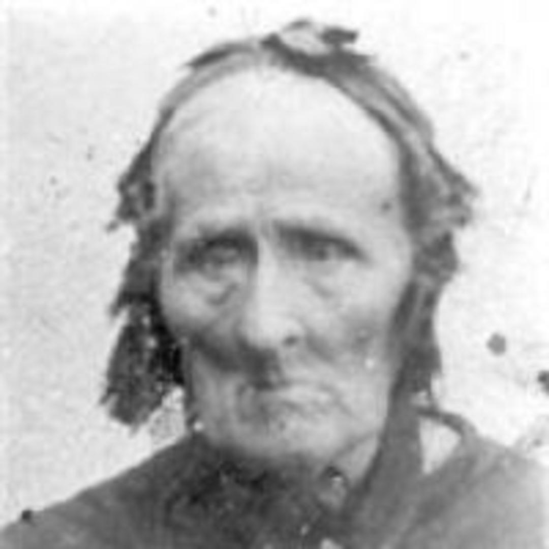 Elizabeth Harris (1800 - 1884) Profile